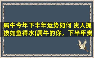 属牛今年下半年运势如何 贵人提拔如鱼得水(属牛的你，下半年贵人提拔，事业如鱼得水！)